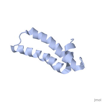 JNK1/2/3 Rabbit mAb, 20uL