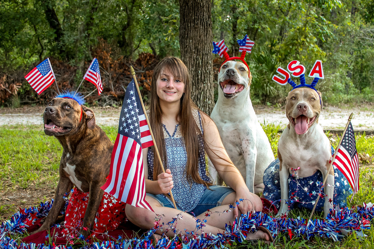 Dog Brucella 10 tests