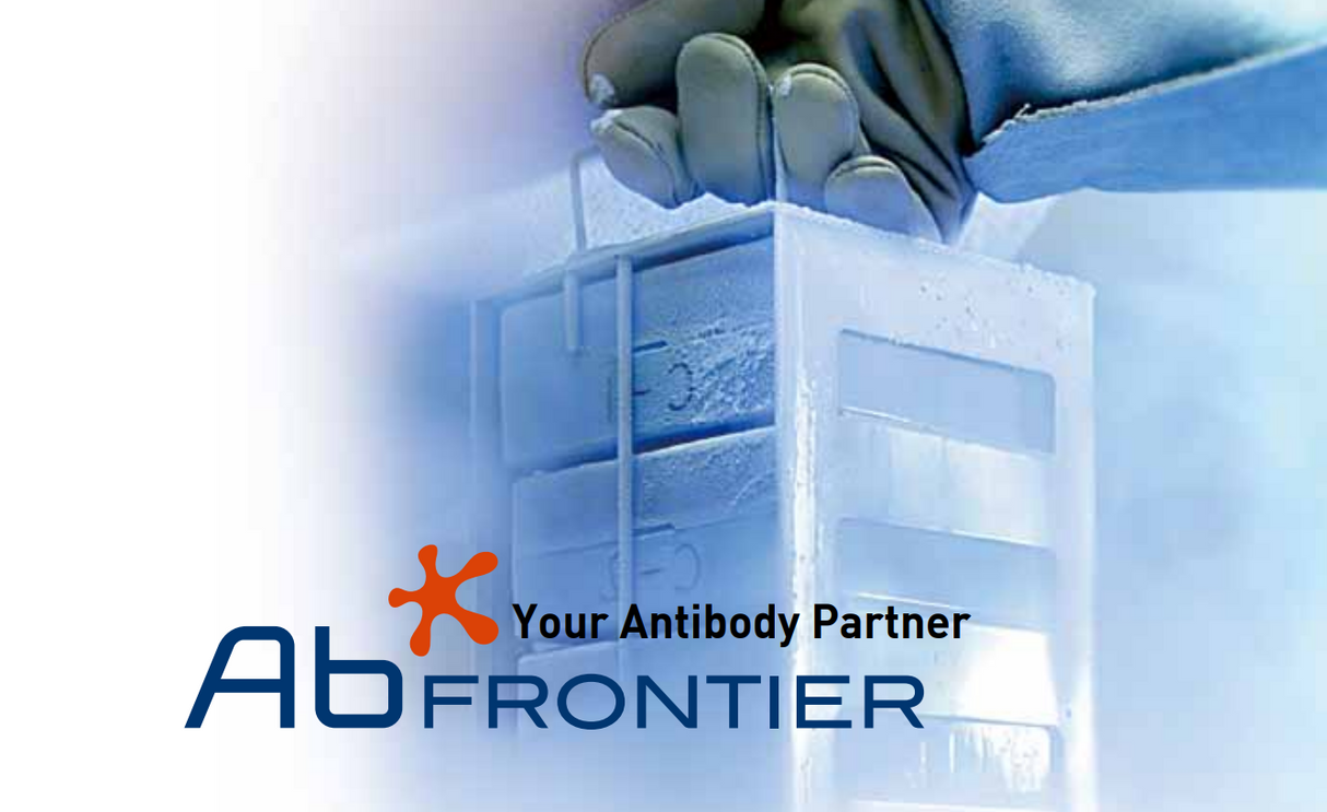 EnzyChrom™ Phospholipid Assay Kit 100T