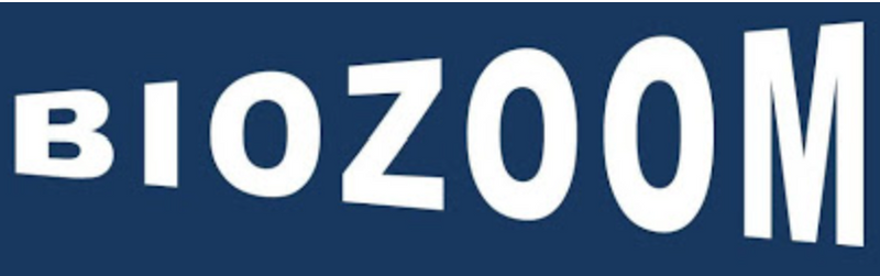 1 kb DNA Ladder 2.0 (0.5 kb ~ 10 kb, with loading dye)-100 rxn