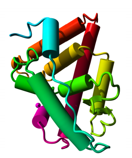 Anti-Lumpy skin disease virus (LSDV) antiserum - 100 ul